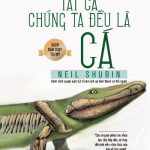 Tất Cả Chúng Ta Đều Là Cá