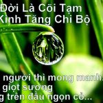 Hiểu về cõi tạm như thế nào cho đúng?