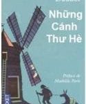 Những Cánh Thư Hè