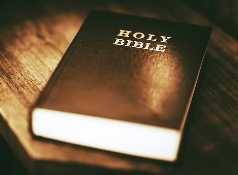 7 books missing from the bible