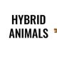 Hybrid Animals MOD APK 200559 (Vô Hạn Tiền)