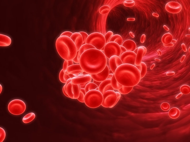 ảnh hưởng của thiếu máu và đa hồng cầu trên chức năng
