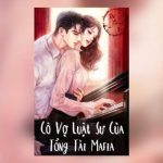 Cô Vợ Luật Sư Của Tổng Tài Mafia – Đỗ Thanh Di