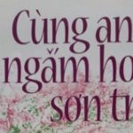 Cùng Anh Ngắm Hoa Sơn Trà (Chuyện Tình Cây Sơn Trà) – Ngải Mễ