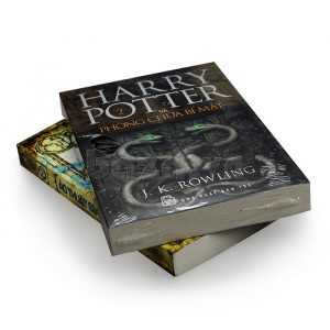 harry potter ebook download