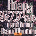 Hóa Ra St. Paul Không Đau Thương – Loan