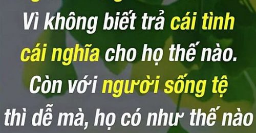 những hình ảnh triết lý về cuộc sống