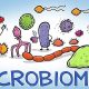 World of Microbes Mod APK 0.2.16 (Vô Hạn Tiền)